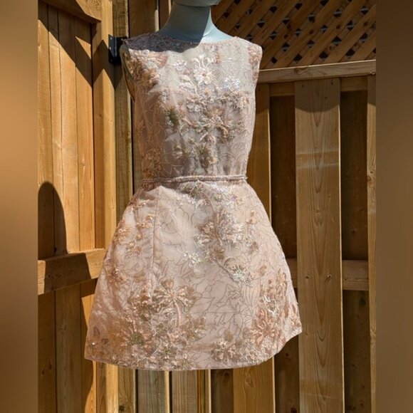 🆕 BRONX & BANCO 🧿 NWOT Violet Mini Dress, Gold & Champagne Sequin - Sz L US 8 - Picture 3 of 15